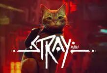 Stray
