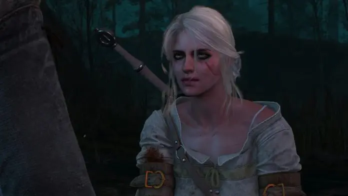 The Witcher 3 The Witcher 3