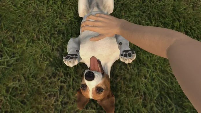 Pets Hotel: Prologue