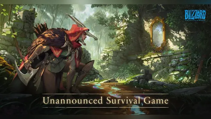 survival game - blizzard