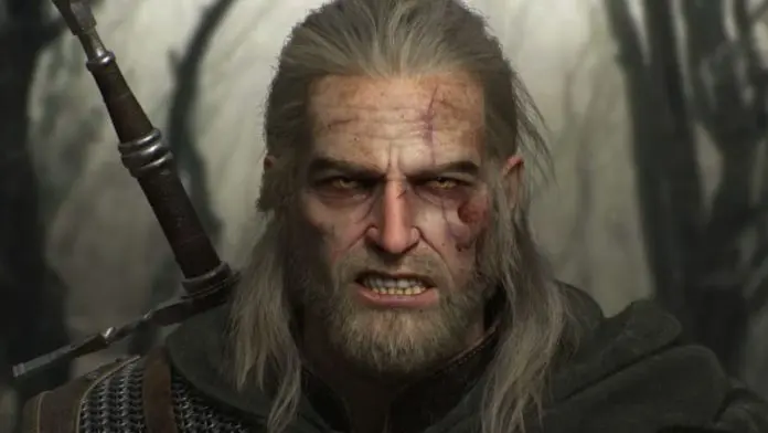 The Witcher The Witcher