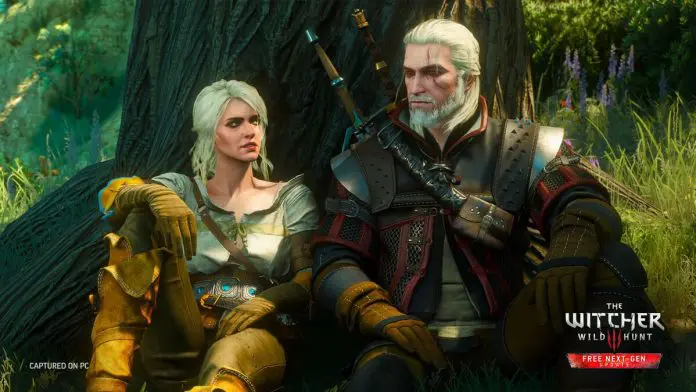 The Witcher 3 The Witcher 3