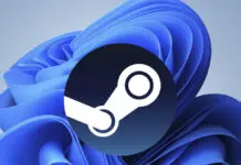 Steam