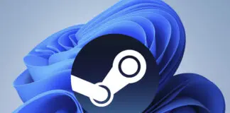 Steam