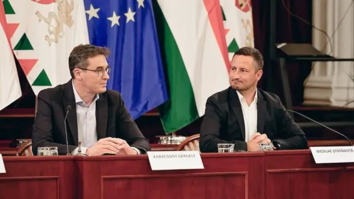 Nicolae Ștefănuță - Vice-presidente do Parlamento Europeu Nicolae Ștefănuță - Vice-presidente do Parlamento Europeu