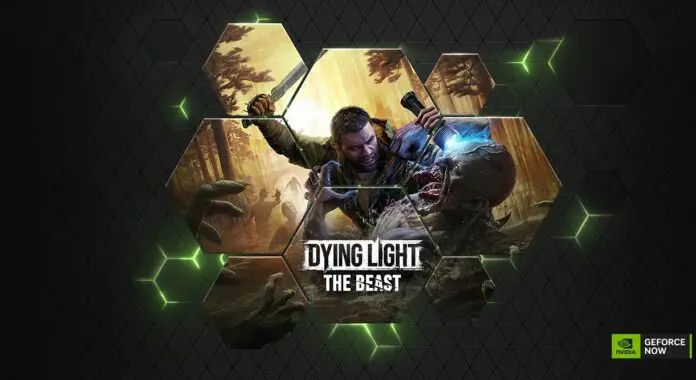 gfn-thursday 18-9-2025