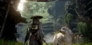 Beast of Reincarnation