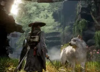 Beast of Reincarnation