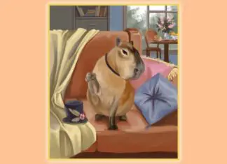 Steam atualiza marcadores e adiciona categoria “capivaras” na loja Cute Capybaras Steam