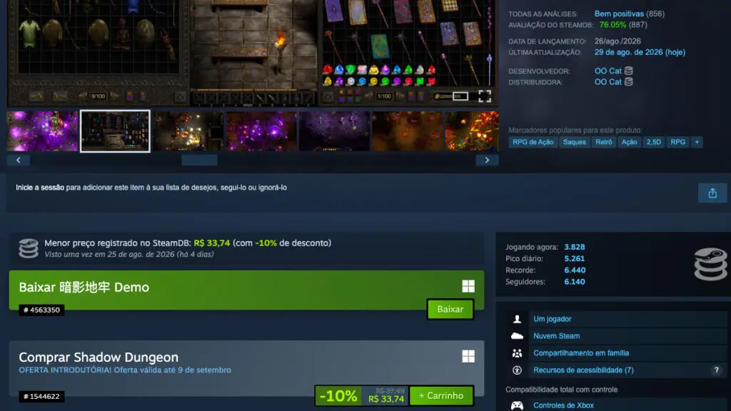 Página de Shadow Dungeon no Steam