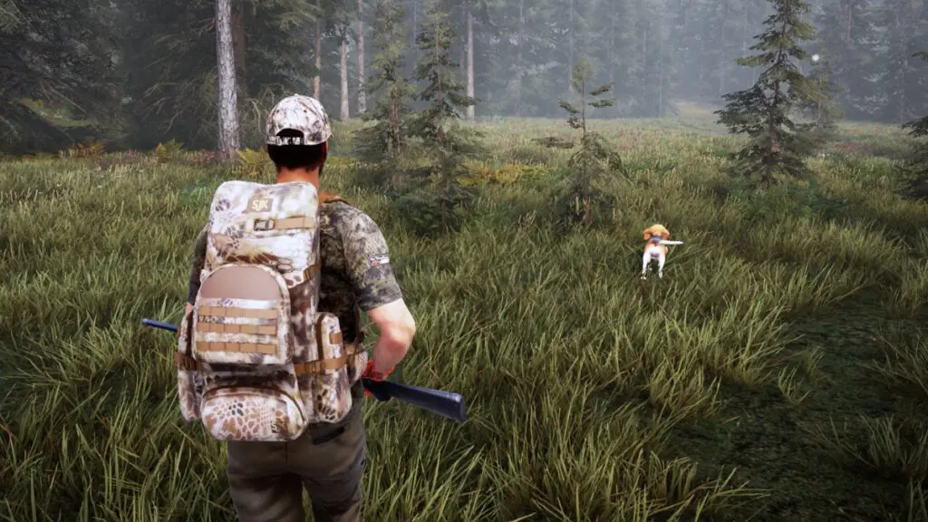 Hunting Simulator 2