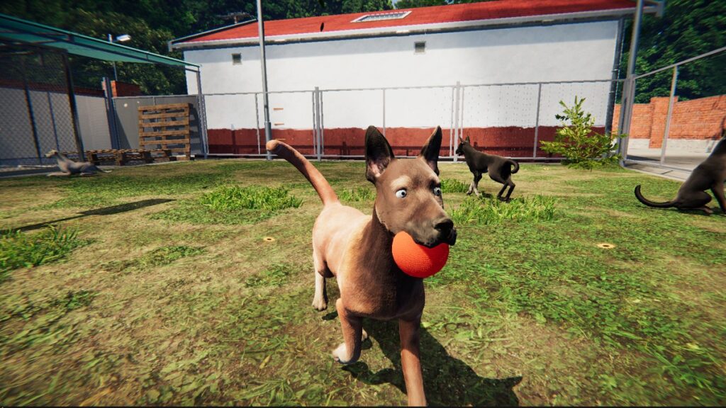 ANIMAL SHELTER jogo online gratuito em