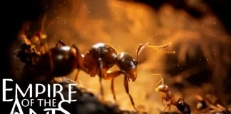 Empire of the Ants