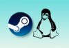 Pesquisa de Hardware e Software Steam: Linux atinge um recorde pelo segundo mês consecutivo