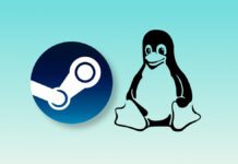 Pesquisa de Hardware e Software Steam: Linux atinge um recorde pelo segundo mês consecutivo