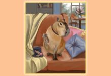 Steam atualiza marcadores e adiciona categoria “capivaras” na loja Cute Capybaras Steam