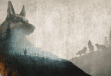 Hubert coloca você na pele de um cão pastor em nova aventura no Steam Hubert