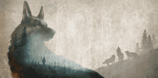 Hubert coloca você na pele de um cão pastor em nova aventura no Steam Hubert